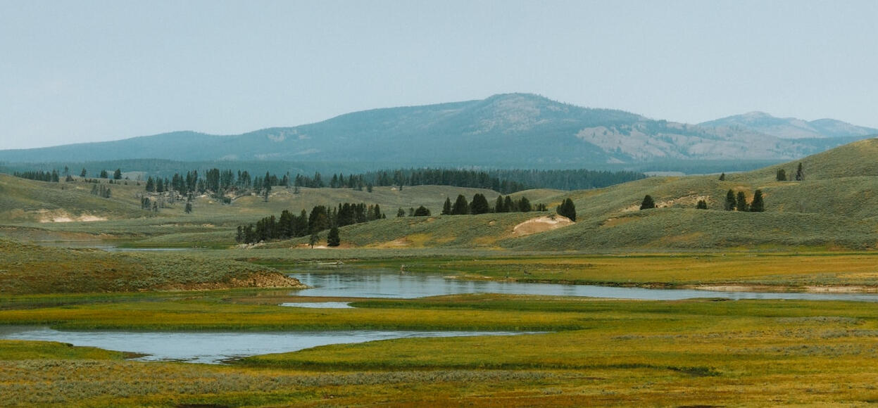 A wide valley in Yellowstone with water features and open landscape