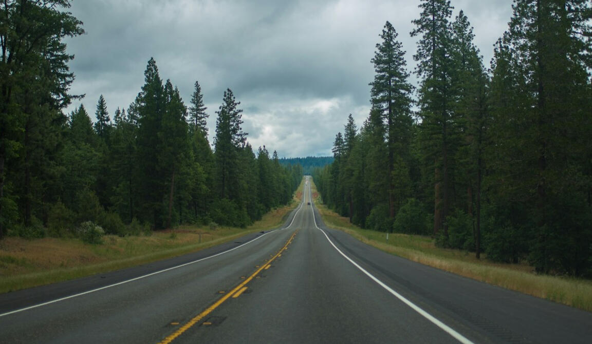A quiet highway lined with trees under an overcast sky in Yellowstone